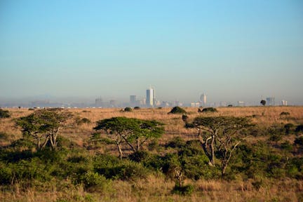 Nairobi National Park