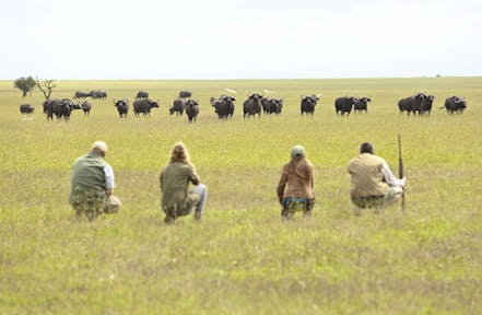 Ol Pejete Bush Camp, Kenya