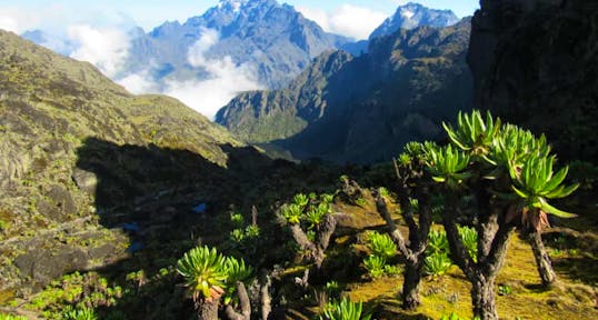 A Journey Through the Rwenzori Mountains