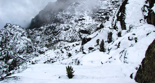 A Journey Through the Rwenzori Mountains