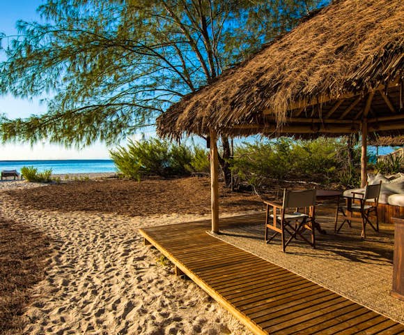 Kenya & Tanzania Safaris