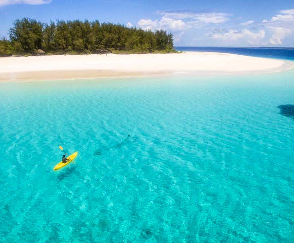 Kenya & Tanzania Safaris