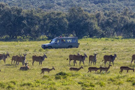 Chui Lodge