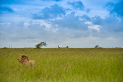 A Journey Through Northern Tanzania