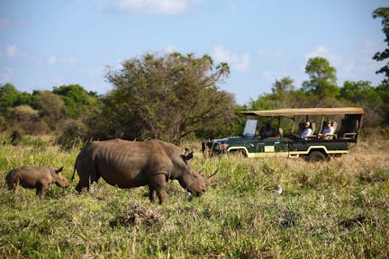 Meru National Park