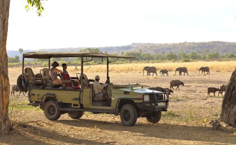 Ruaha National Park