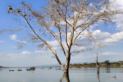 Lake Naivasha