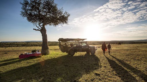 Safaris in Kenya