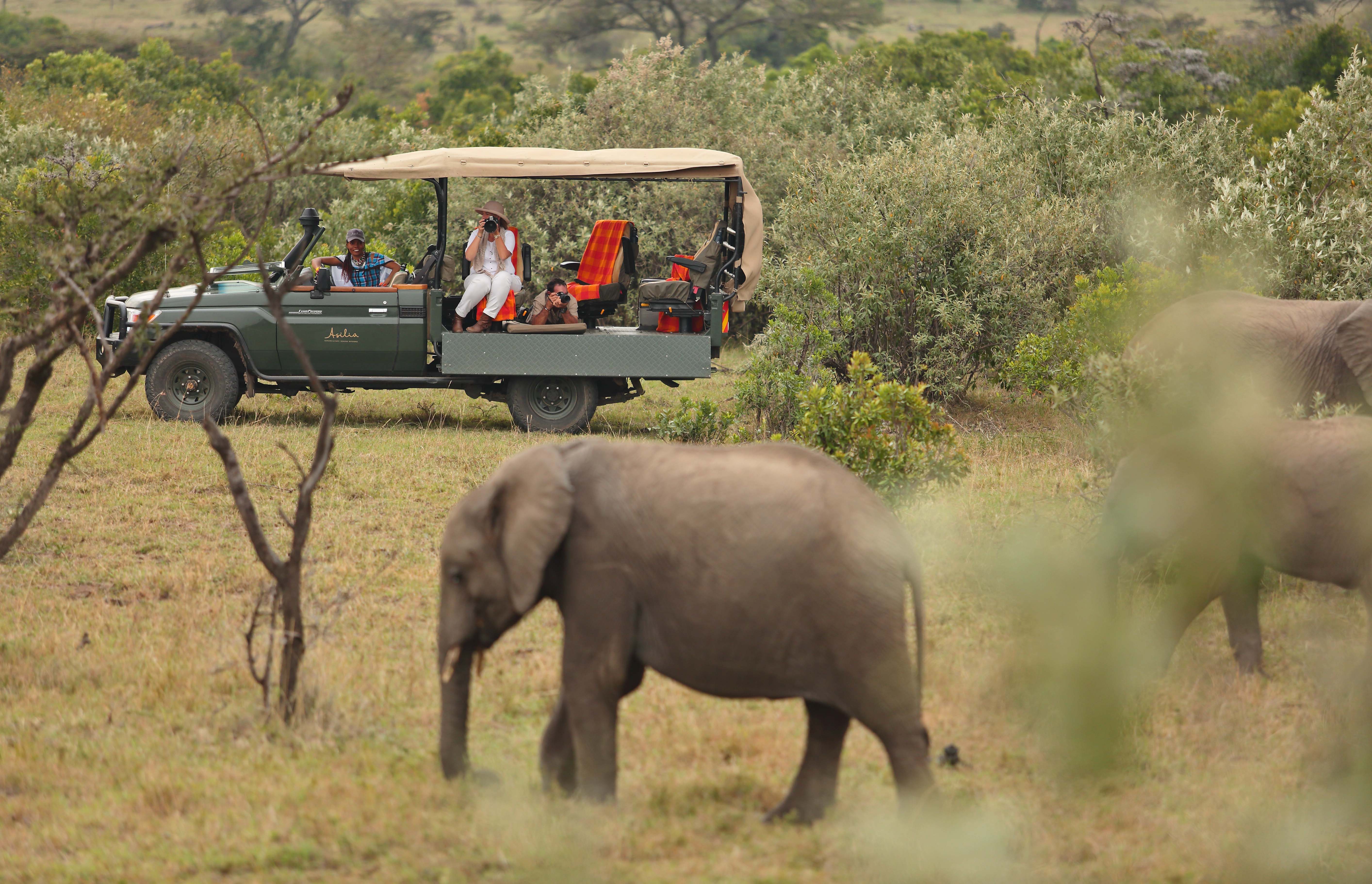 Mara Conservancies | Brilliant Africa