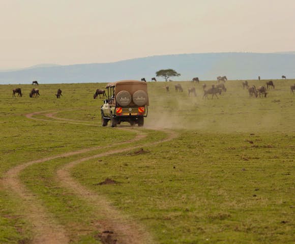 Mara Naboisho Conservancy