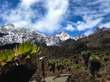 A Journey Through the Rwenzori Mountains