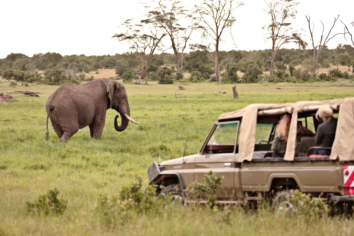 Ol Pejeta Conservancy | Brilliant Africa