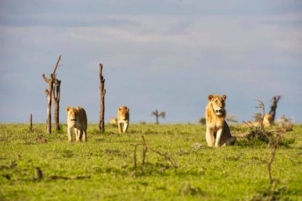 Ol Pejeta Conservancy
