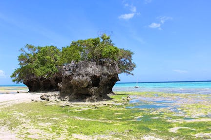 Beaches in Tanzania