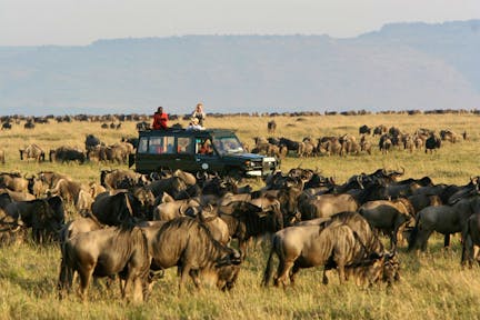 Rekero Camp
