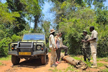 Rubondo Island Camp