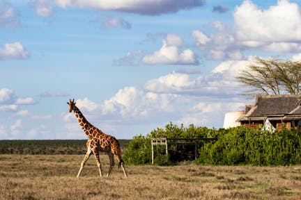 Segera Lodge