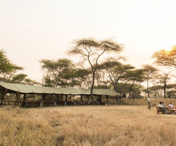 Kenya & Tanzania Safaris