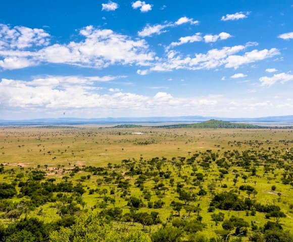 Tanzania Safaris 2023/2024