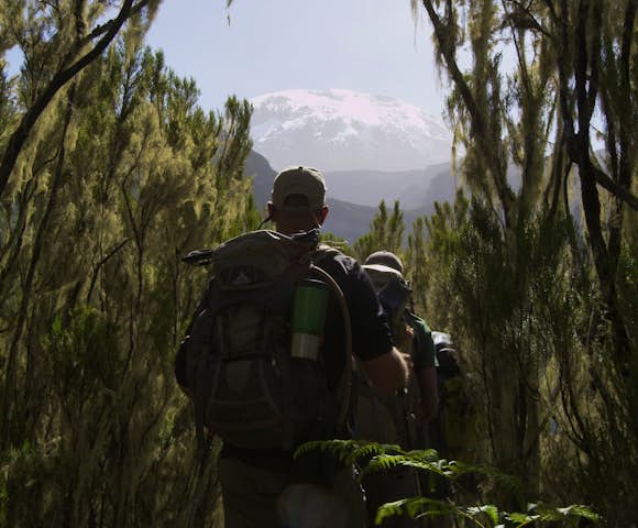 Man hiking through forest with view of Kilimanjaro in background
