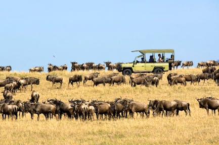 Ubuntu Migration Camp